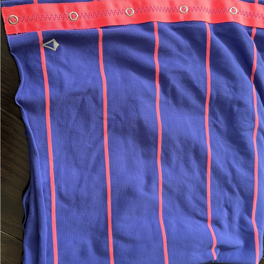 Ivivva Blue and Pink Striped Top